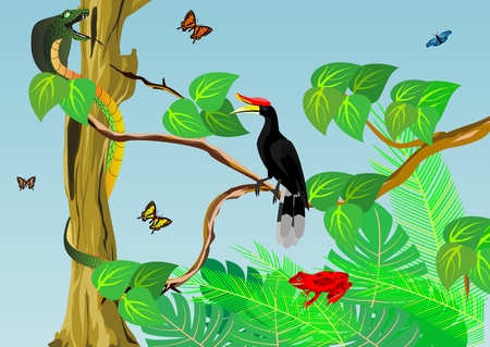 Horned raven on tree branch, tropical exotical background, jungle.のイラスト素材