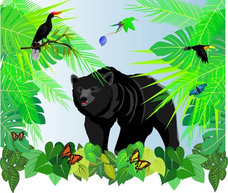 Black big bear in green jungle vector illustrationのイラスト素材