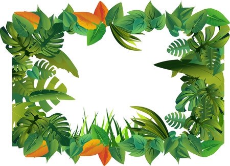 Tropical plants and flowers decorative frame isolated on white vector.のイラスト素材