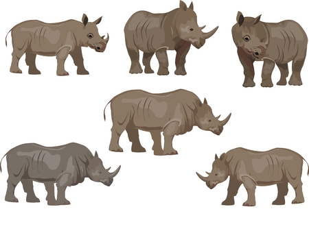Set of rhinoceros animals, isoalted on white vectorのイラスト素材