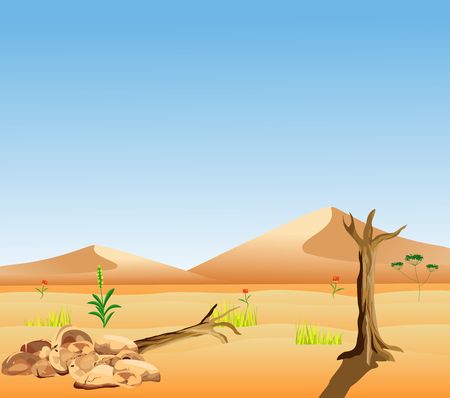 Desert landscape wildlife vectorのイラスト素材