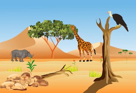 African savannah wildlife landscape vector illustrationのイラスト素材