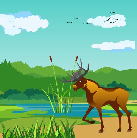 Moose standing in the forest, nature river landscape in background vector.のイラスト素材