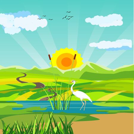 On the lake, white heron  on the lake plant, nature wildlife scene vectorのイラスト素材
