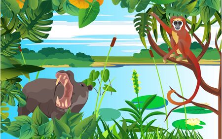 A high quality background of landscape with hippopotamus and monkey, wildlife scene vectorのイラスト素材