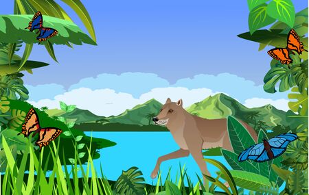 A high quality background of landscape with jungle plants and monkey with bearのイラスト素材