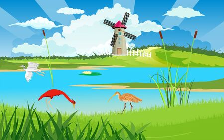 Wild birds on the river bank, wildlife nature vector illustrationのイラスト素材