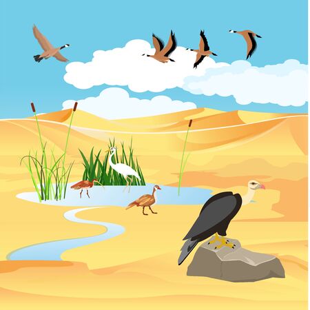 Desert lake and wild birds, wildlife scene, vector landscapeのイラスト素材