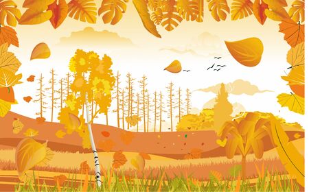 landscapes of Countryside in autumn. mid autumn with field, forests, grass and leaves falling from trees in yellow foliage. Pretty landscape in fall season.のイラスト素材