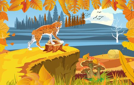 landscapes of wildlife in autumn. Lynx in wildlife scene, with field, grass, forests, and leaves falling from treesのイラスト素材