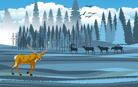 landscapes of wildlife in summer. Deer in wildlife scene, with field, grass, forests, and leaves falling from treesのイラスト素材