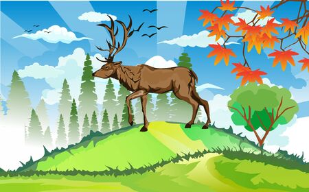 landscapes of wildlife in summer. Deer in wildlife scene, with field, grass, forests, and leaves falling from treesのイラスト素材