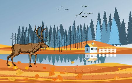 landscapes of Countryside in autumn. Deer in wildlife scene, mid autumn with field, grass, forests, and leaves falling from trees in yellow foliage.のイラスト素材