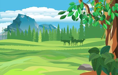 vector illustration of wildlife scene, forest, woodlands, green hillsのイラスト素材
