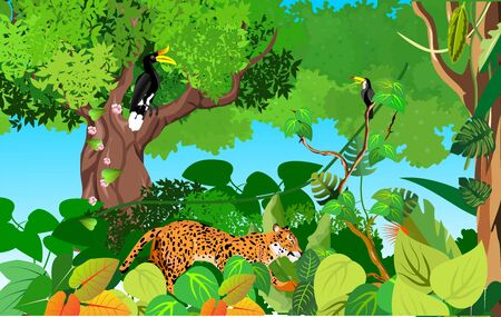 Jungle and wildlife illustration with leopard on jungle wood vintage background. Tropical floral frame with night sky. Design templateのイラスト素材