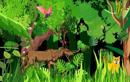 Jungle and wildlife illustration with deer on jungle wood vintage background. Tropical floral frame with night sky. Design templateのイラスト素材