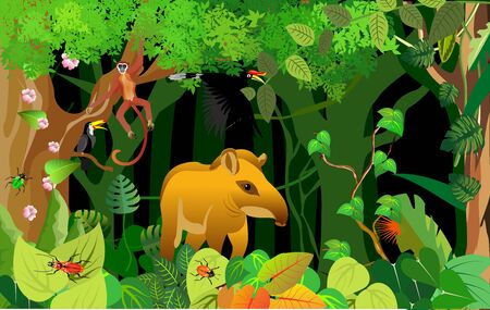 Jungle and wildlife illustration with tapir on jungle wood vintage background. Tropical floral frame with night sky. Design templateのイラスト素材