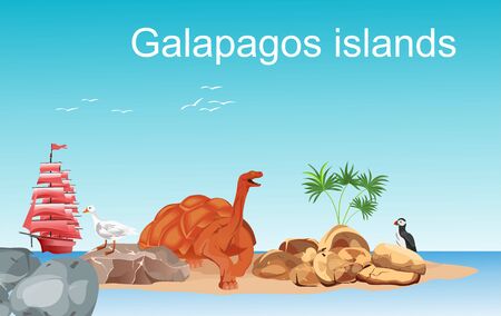 Galapagos islands illustration, turtle, beach, vectorのイラスト素材