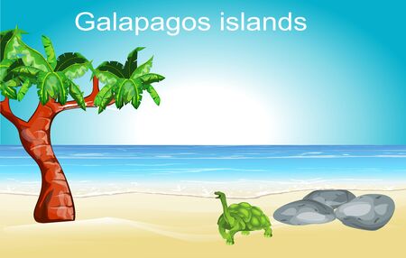 Galapagos islands nature scene, turtle on the ocean's coast, vectorのイラスト素材