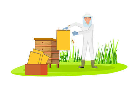 Beekeeper in protective hat and dress in the field on countryside background cartoon vector illustrationのイラスト素材