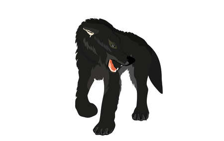 Wolf vector illustration isoalated on whiteのイラスト素材