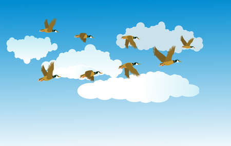 migratory birds fly in the clouds, vectorのイラスト素材