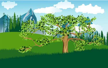 Big wide old green tree on the green hills, vector landscape illustrationのイラスト素材
