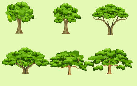 Trees set isolated on white background vectorのイラスト素材