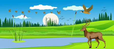 Natural landscape, deer under tree on the green summer hills, vector illustrationのイラスト素材