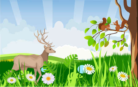 Countryside landscape, deer under tree on the green hills vector illustrationのイラスト素材