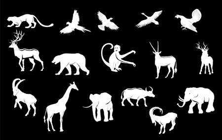 Animals silhouettes set, isolated on black vector illustrationのイラスト素材