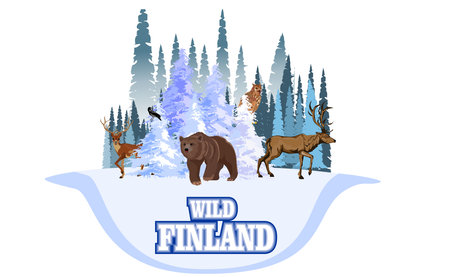 Wild Finland with wild animals, Vector Finland winter forest with bear, reindeer and elkのイラスト素材