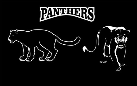 Panthers logo illustration, isolated on black black background vectorのイラスト素材