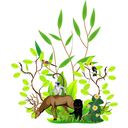 Jungle wildlife illustration. deer.momkey, under palm isolated on white, vectorのイラスト素材