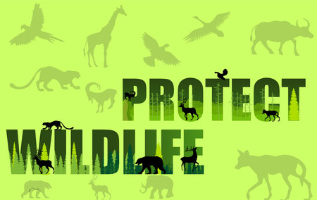 Protect wildlife word, vector composition, consept vectorのイラスト素材