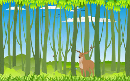 Wild deer in the forest, wildlife vector illustrationのイラスト素材