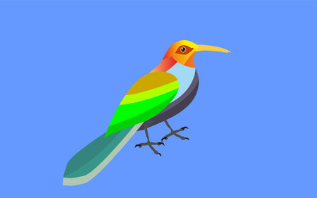 Colored vivid bird vector illustrationのイラスト素材