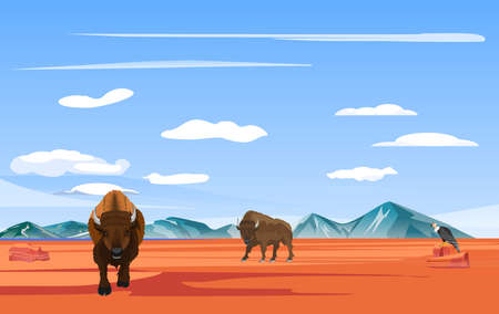 Buffalo Bisons walking in the amarican prairie, wildlife vectorのイラスト素材