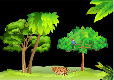 Trees and plants night jungle landscape vectorのイラスト素材