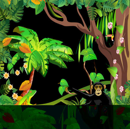Monkey in the jungle vector illustration. Jungle background with jungle animals.の写真素材