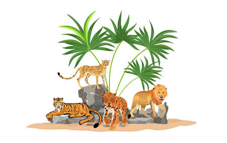 Top big cat predators collection lion tiger leopard vectorのイラスト素材
