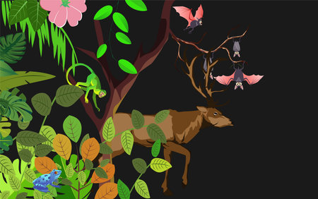 Vector jungle rainforest foliage border illustration with deer, bats, green apes,