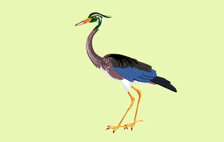 Colored heron isolated vector illustrationのイラスト素材