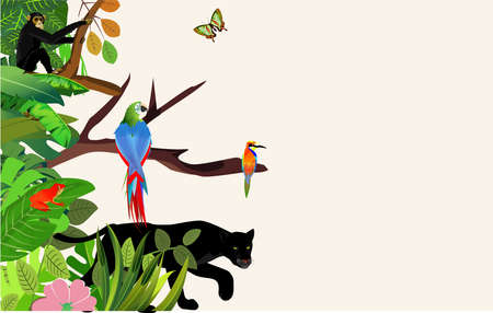 Vector jungle rainforest foliage border illustration with panther, blue parrot, kingfisher chimpanzee ape and butterfliesのイラスト素材