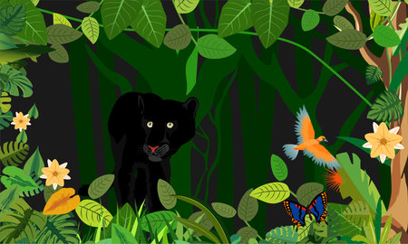 Panther and tropical birds and animals in the jungle, vector plants background on blackのイラスト素材