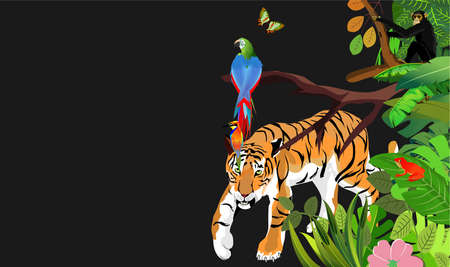tiger and tropical birds and animals in the jungle, vector plants background on blackのイラスト素材