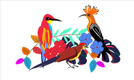 Hoopoe and kingfisher birds and forest plants vector nature wild composition on white vectorのイラスト素材