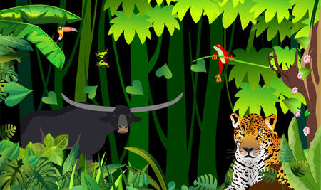 Jaguar and leopard in the jungle vector illustration. Wild animals in the jungle.の写真素材