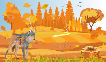 Noth forest at autumn yellow trees and ground landscape wolf stands vectorのイラスト素材