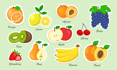 Set of fresh fruits stickersのイラスト素材